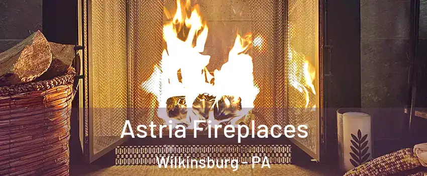  Astria Fireplaces Wilkinsburg - PA