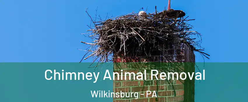 Chimney Animal Removal Wilkinsburg - PA