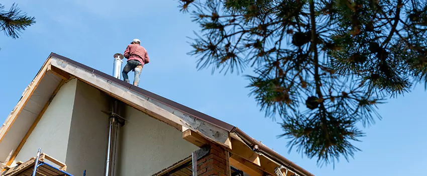 Birds Removal Contractors from Chimney in Wilkinsburg, PA