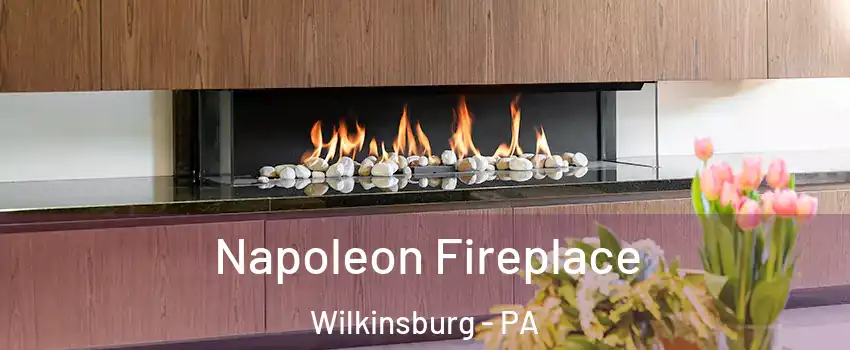  Napoleon Fireplace Wilkinsburg - PA