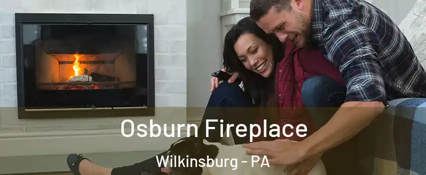  Osburn Fireplace Wilkinsburg - PA